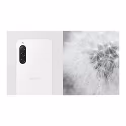Sony Xperia 10 V XQDC54C0W.EUK 5G 6Go 128Go Blanc