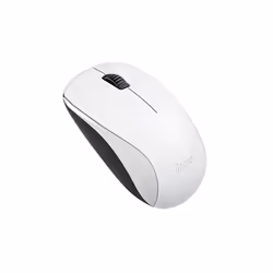 Genius Computer Technology NX-7000, Ambidextre, BlueEye, RF sans fil, 1200 DPI, Blanc
