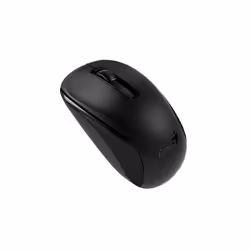 Genius Computer Technology NX-7005, Ambidextre, BlueEye, RF sans fil, 1000 DPI, Noir