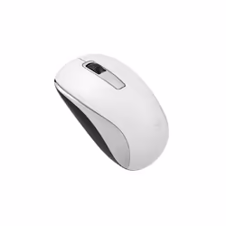 Genius Computer Technology NX-7005, Ambidextre, BlueEye, RF sans fil, 1000 DPI, Blanc