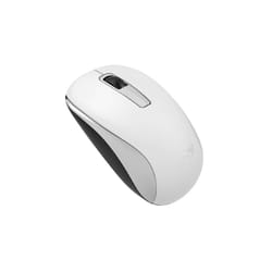 Genius Computer Technology NX-7005 souris Ambidextre RF sans fil BlueEye 1000 DPI