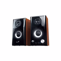 Genius Computer Technology 31730032400 haut-parleur 2-voies Noir, Bois Avec fil 14 W