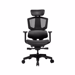 COUGAR Gaming Argo One