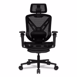 COUGAR Gaming CGR-SPD-GRB, Siège de jeu universel, 120 kg, Course, Universel, Noir, Noir