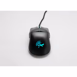 Ducky Feather souris Ambidextre USB Type-A Optique 16000 DPI - Vue supplémentaire 4