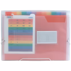 Liderpapel FU08, Chemise à rabats, A4, Polypropylène (PP), Transparent, Mat, Elastique