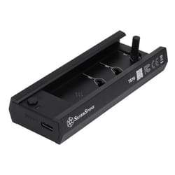 Silverstone TS16 Enceinte ssd Noir M.2