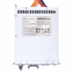 Silverstone GM600 Silver unité d'alimentation d'énergie 1200 W 20+4 pin ATX PS/2 Argent - Vue supplémentaire 6