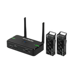 AVerMedia AW315BP