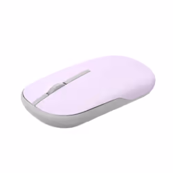ASUS MD100 souris Ambidextre RF sans fil + Bluetooth Optique 1600 DPI