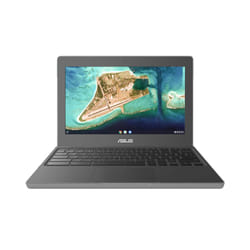 ASUS Chromebook CR1100CKA-GJ0040 11.6" HD Intel® Celeron® N N4500 4Go 32Go Gris