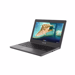 ASUS Chromebook CR1100CKA-GJ0040 11.6" HD Intel® Celeron® N N4500 4Go 32Go Gris