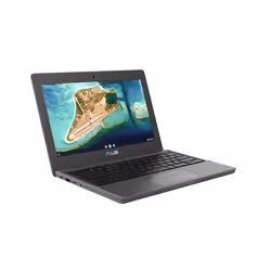 ASUS Chromebook CR1100CKA-GJ0040 11.6" HD Intel® Celeron® N N4500 4Go 32Go Gris