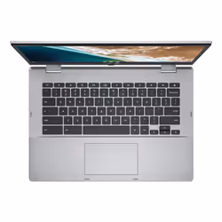 ASUS Chromebook CX1400FKA-EC0117 Intel® Pentium® Silver N6000 14" Tactile Full HD 8Go 64Go Argent