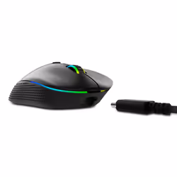 XPG ALPHA-BKCWW, Droitier, Optique, RF Wireless + USB Type-C, 16000 DPI, 1 ms, Noir