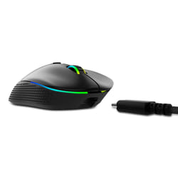 XPG ALPHA-BKCWW souris Droitier RF Wireless + USB Type-C Optique 16000 DPI