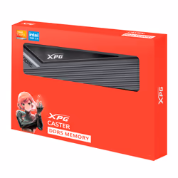 XPG CASTER DDR5 module de mémoire 32 Go 2 x 16 Go 6000 MHz ECC