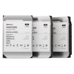 Synology HAS5300-12T disque dur 3.5" 12 To SAS