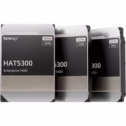 Synology HAT5300-16T