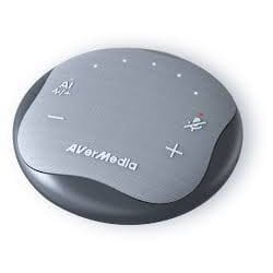 AVerMedia 61AS315000AE haut-parleur Universel USB Type-C Gris