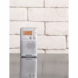 Sangean DT-250 Argent - Vue supplémentaire 4