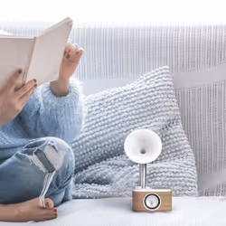 Sangean WR-45 Portable Noir - Vue supplémentaire 7