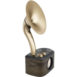Sangean - WR-45X Gold Radio de table fm aux, Bluetooth rechargeable noir, or Q141752