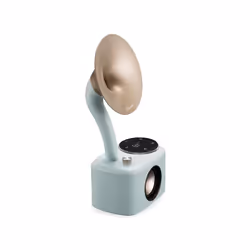 Sangean CP-100D Portable Numérique Or, Couleur menthe