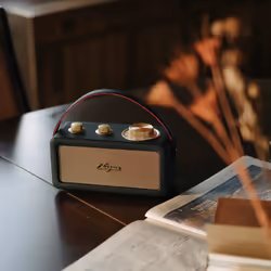 Sangean RA-101 Portable Analogique Noir, Or - Vue supplémentaire 7