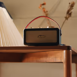 Sangean RA-101 Portable Analogique Noir, Or - Vue supplémentaire 8