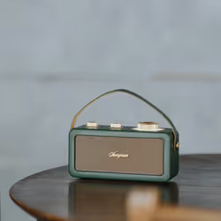 Sangean RA-101 Portable Analogique Or, Vert - Vue supplémentaire 5