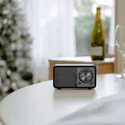 Sangean WR-7 PLUS Personnel Analogique Chêne foncé - Vue supplémentaire 8