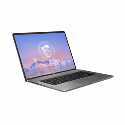 MSI Creator Z17 HX Studio Z17HX Studio A13VET-009FR, Intel® Core™ i7, 43,2 cm (17"), 2560 x 1600 pixels, 32 Go, 1 To, Windows ...