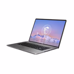 MSI Creator Z17 HX Studio Z17HX Studio A13VET-009FR 17" Tactile Quad HD+ i7-13700HX 32Go 1To SSD RTX 4050 Gris