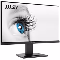 MSI Pro MP2412 écran plat de PC 23.8" Full HD LCD Noir - Vue supplémentaire 6