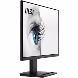 MSI Pro MP2412 écran plat de PC 23.8" Full HD LCD Noir - Vue supplémentaire 8