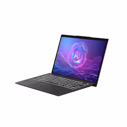MSI Prestige 13 AI+ Evo A2VMG-004FR