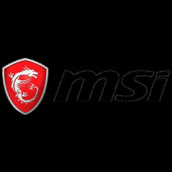 MSI S12-4301370-CLA souris Gaming Droitier RF Wireless + Bluetooth + USB Type-A Optique 26000 DPI