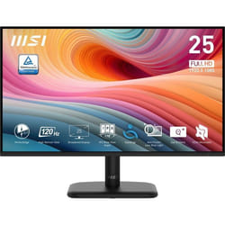 Ecran PC Msi PRO MP251L E2