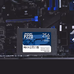 Patriot Memory P220 256 GB 2.5" 256 Go Série ATA III - Vue supplémentaire 4