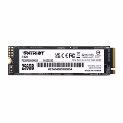 Patriot Memory P320, 256 Go, M.2