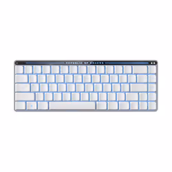 ASUS ROG Falchion RX Low Profile, Avec fil &sans fil, USB + RF Wireless + Bluetooth, Interrupteur à clé optique, LED RGB, Bla ...