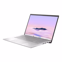 ASUS Chromebook Plus Enterprise CX54 CX5403CMA-QN0128 Intel Core Ultra 5 115U 14" PC portable WQXGA 8Go RAM 256Go SSD Wi-Fi 6E ChromeOS Argent - Vue supplémentaire 4