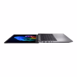 ASUS ExpertBook P5405CSA-NZ0154X Intel Core Ultra 5 226V PC portable 14" WQXGA 16Go RAM 512Go SSD Wi-Fi 6E Win11 Gris - Vue supplémentaire 5