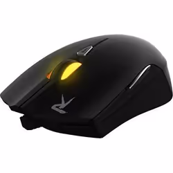 GAMDIAS GMS5501, Optique, USB Type-A, 4000 DPI, Noir