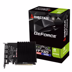 Biostar VN7313TG46 carte graphique NVIDIA GeForce GT 730 4 Go GDDR3