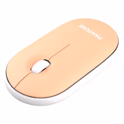 Pantone PT-MS001E souris Maison RF sans fil Laser 100 DPI