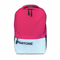 Pantone PT-BK198P, 39,6 cm (15.6"), Compartiment pour Notebook