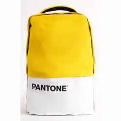 Pantone PT-BK102Y, 39,6 cm (15.6"), Compartiment pour Notebook, Polyester