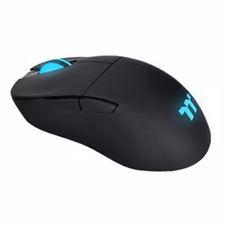 Thermaltake GMO-DMS-HYOOBK-01 souris Droitier RF sans fil + Bluetooth Optique 19000 DPI